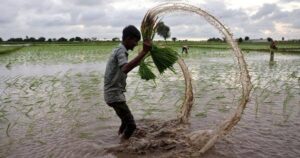 Delayed Monsoon Slows Kharif Sowing Across India
