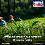 Agartala Tea Auction Centre Set to Become Operational by September-End